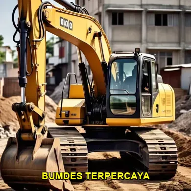 Optimalisasi BUMDes untuk Pengadaan Excavator Proyek Desa Klaten